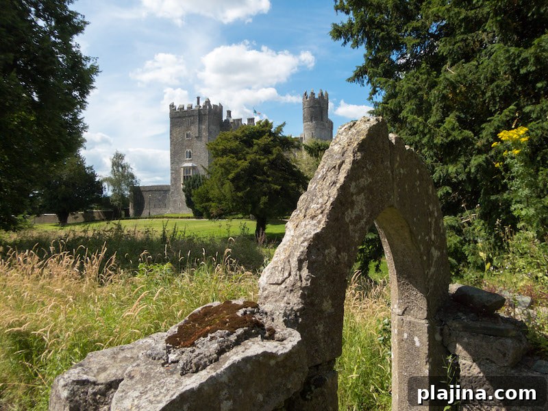 Kilkea Castle © BRUNO STEINBERGER/kilkeacastle.ie/