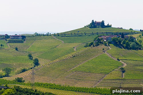 Italy