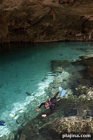 Snorkeling in a cenote in Riviera Maya