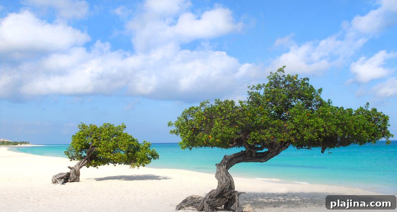 Aruba’s Eagle Beach