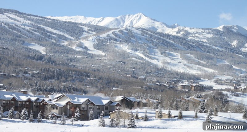 Aspen