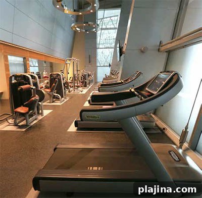 Hamad International Airport