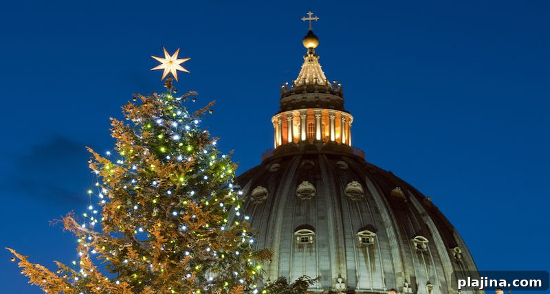 Vatican Christmas Tree