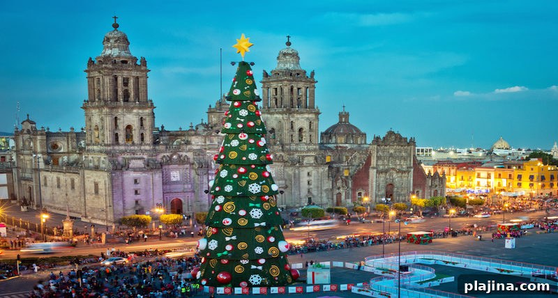 Zócalo Square