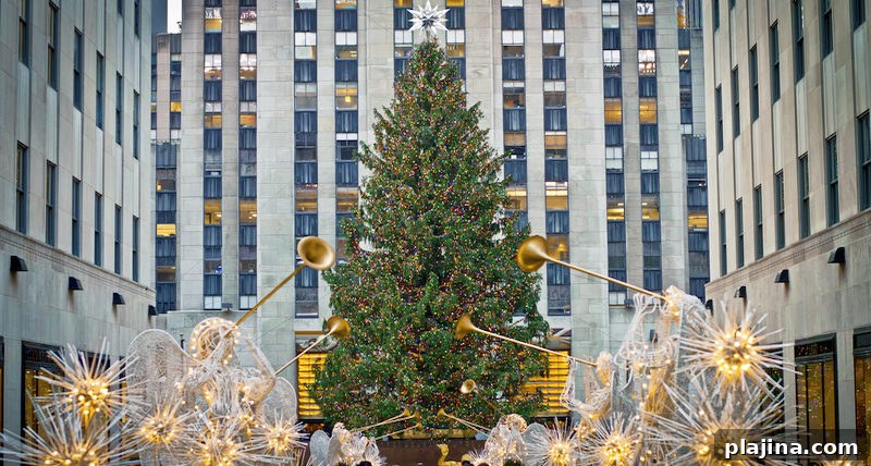 Rockefeller Center Christmas Tree