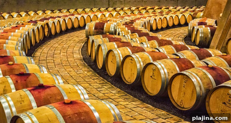 Bodega Catena Zapata