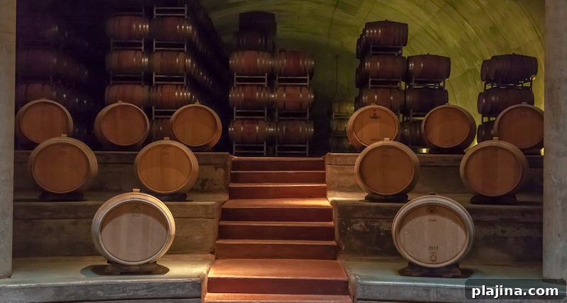 Bodegas Salentein