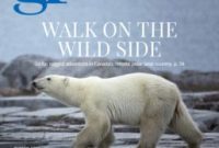 January 2019 Magazine Cover Reveal: Highlights & Behind the Art