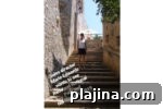 img 94169 19