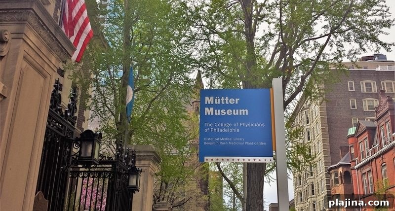 Philadelphia’s Mütter Museum