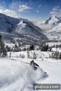 Alta, Utah © Lee Cohen