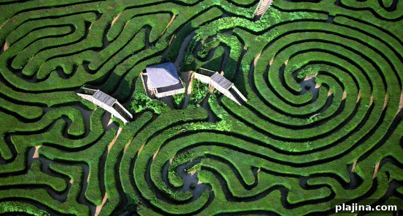 Maze