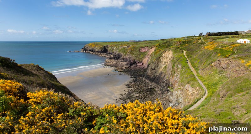 Ramsey Island