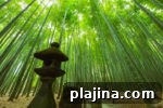 7 Must-Visit Japanese Destinations Beyond Tokyo 6 img 95508 13