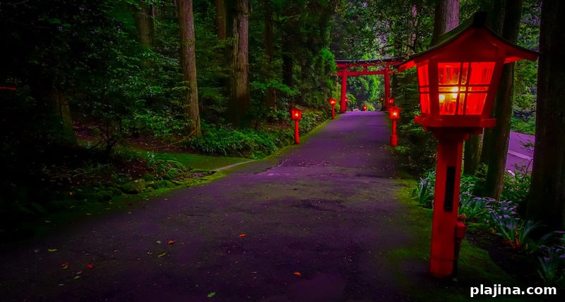 The night view of the approach to the Hakone shrine in a cedar forest. With many red lantern lighted up and a great red torii gate