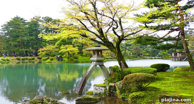 Scenic Traditional Japanese Garden Kenrokuen in Kanazawa, Japan in Summer