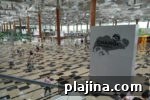 Top Airports for a Stress-Free Travel Experience 5 thumbnail 4
