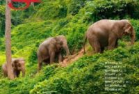 April 2019 Magazine Cover Highlights