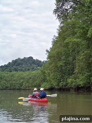 A kayaking excursion