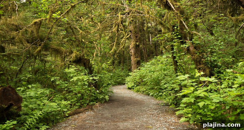 Tongass