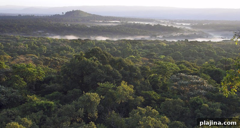 Kakamega