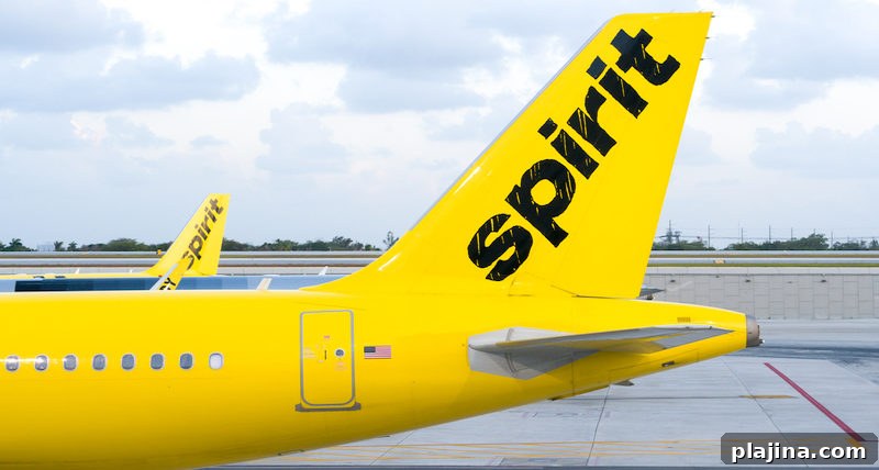 Spirit