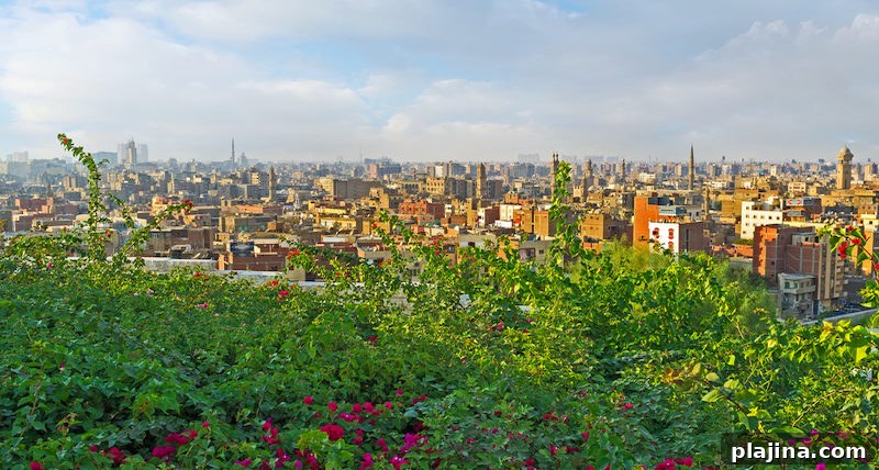 Cairo