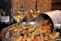 Wines on the Wing: 2011 Airline Wine Competition Winners & Reviews