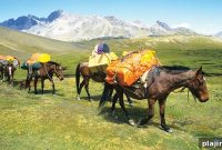 Andes Adventure: Conquering High Peaks and Altitude Wonders