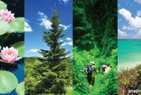 50 Shades of Green: A Guide to Garden Design and Plant Pairings