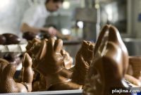 Sweet Lessons in Swiss Chocolate: Hands-On Tasting & Making Tour