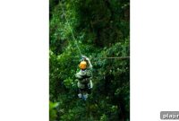 Boost Team Bonding with Hawaiian Zipline Adventures