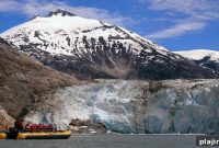 Explore Alaska’s Glacier Country: Wildlife, Trails & Scenic Cruises