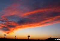 Mar de Cortés International Airport Launches New Flights