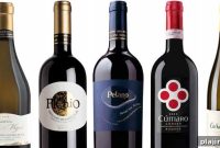 Umani Ronchi Wines: Discover Le Marche’s Finest Italian Vineyard