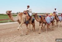 Abu Dhabi: From Desert Origins to Modern Metropolis