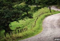 Costa Rica: Explore Lush Rainforests and Pristine Coastlines