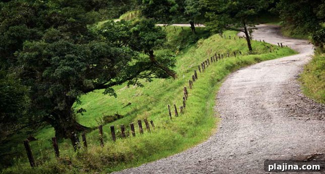 featured 30251
