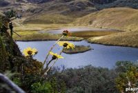 Tropic Journeys Highlights Ecuador’s New Biosphere Reserve