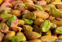 Authentic Antep Baklava: Go Straight to the Source for Real Flavor