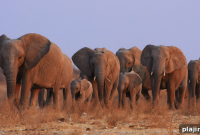 Discover Namibia’s Unique Wellness Village Retreat