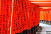 Osaka Food Guide: Top Dishes, Markets, and Street Eats to Try