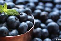 Blueberry Picking in Paradise, Michigan — U-Pick Guide & Tips
