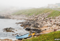 Join Newfoundland’s 2025 Eco-Action: Volunteer Opportunities & Events