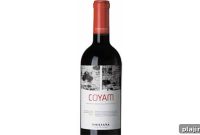 Biodynamic Wines: What They Are and Why They Matter