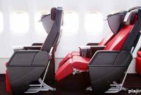 2013 Premium Economy Passenger Survey Results and Insights