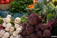 Culinary Adventures in Sonoma: Where to Eat, Drink, and Explore