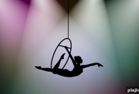 Ritz-Carlton Sarasota Elevates Circus-Themed Luxury Experience