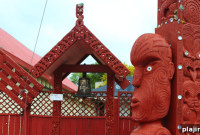 Explore Australia by Cruise: Top Routes, Tips & Island Stops