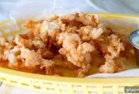 Conch in the Bahamas: Where to Find, Eat, and Experience It